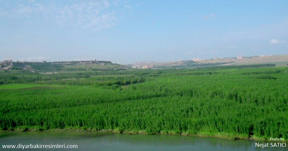 dicle-nehri-hevsel-bahceleri-dicle-universitesi-diyarbakir_kalesi-2-fot.nejat_satici-.jpg