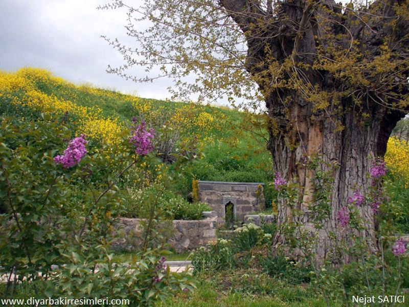 diyarbakir-erdebil-berderipir-cesmesi-diyarbakir-fot.nejat satici