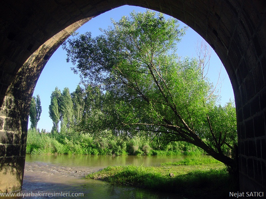 halilviran - devegecidi koprusu-diyarbakir-fot.nejat satici