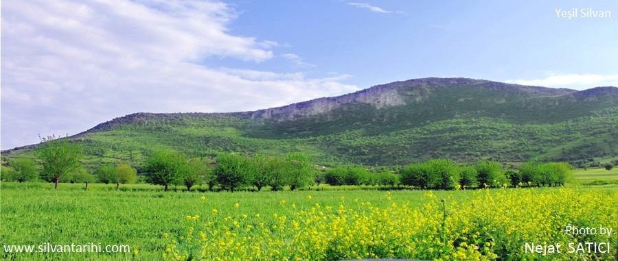 silvan_manzara-diyarbakir_fot._nejat_satici.jpg